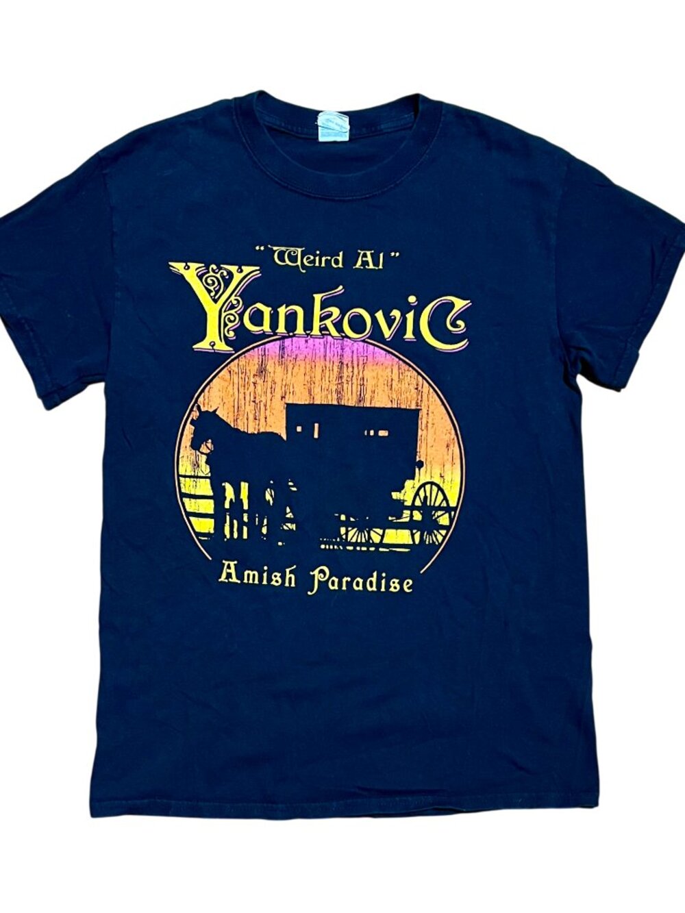 Weird Al Yankovic Amish Paradise Y2K Vintage Graphic T-Shirt, Men's Small